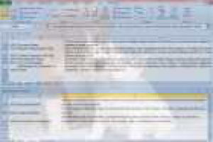 Перевод сайта с русского на испанский