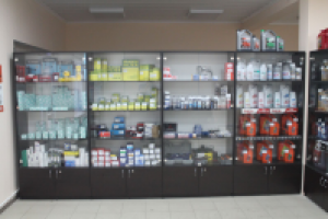 Оформление витрин (автозапчасти)