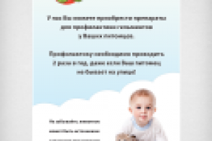 Плакат для зоомагазина (формат А2)