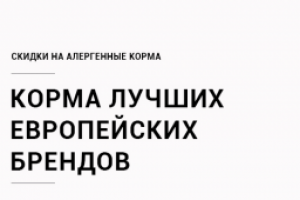 Прототип планшетной версии сайта