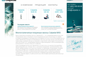 Технические тексты. Характеристика насосов.