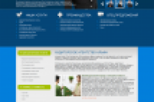 Аудиторское Агенство «Альфа»