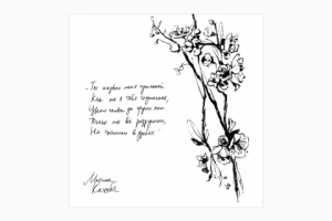 Открытки к аудио-книге "Чик-чирик" Марина Кацуба, Павел Васильев