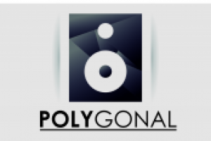 Работа 2693338