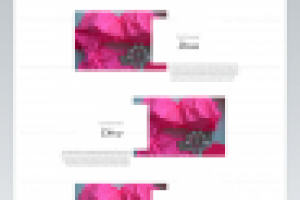 Лендинг для модного магазина элитных купальников ZLATOVA