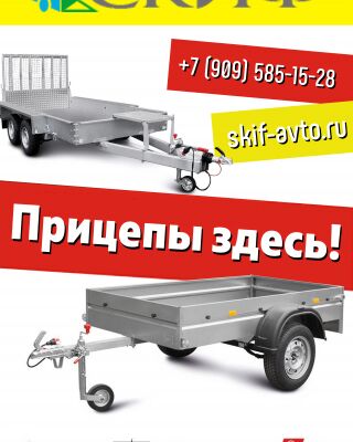 img3338338.png