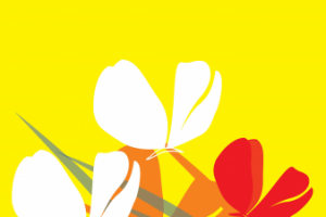 Брендбук обложка