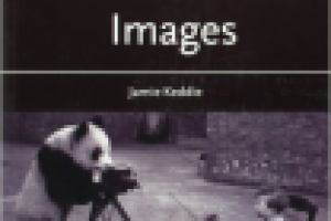 Перевод книги о методике преподавания английского языка "Images"