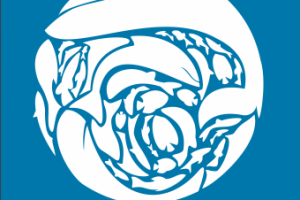 социальный плакат на тему "защита синих китов" диптих