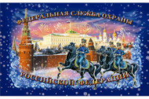 Новогодняя упаковка для ФСО