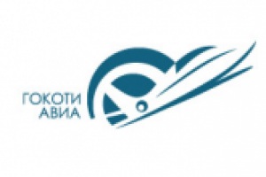Gokoty Avia logo