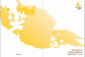 Руководство по использованию фирменного стиля "Светлый город"