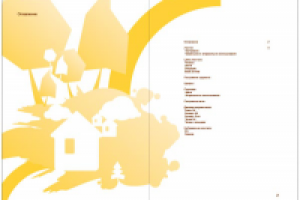 Руководство по использованию фирменного стиля "Светлый город"