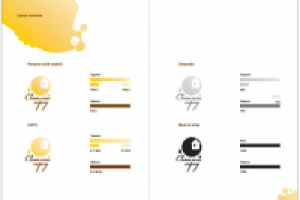 Руководство по использованию фирменного стиля "Светлый город"