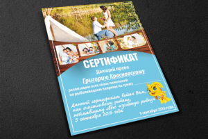 Работа 3172773