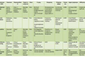 Реферат по ПР и бреднингу культурных индустрий, СПбГУ