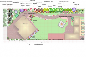 Дендроплан