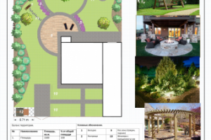 Форэскиз. Тематика : хвойный сад