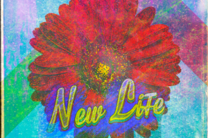 Обложка для музыкального альбома