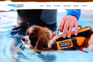 Лендинг Hydro Canine