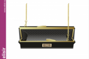 Работа 3119352