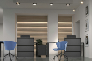 Визуализация зоны ресепшн интерьерного салона