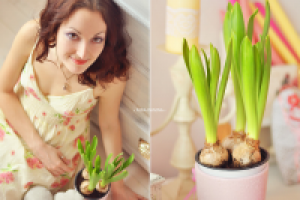 Работа 2062417