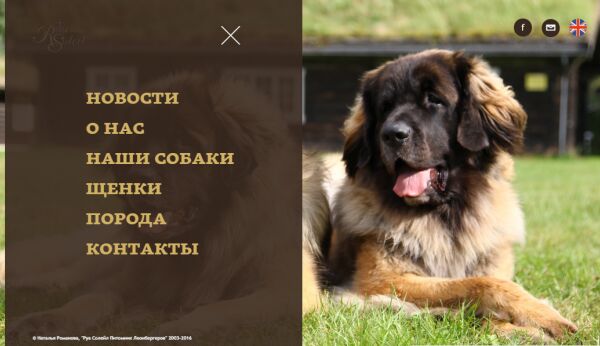 img3429647.png