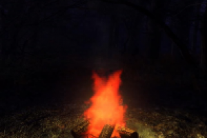 Костер в ночном лесу (видео)