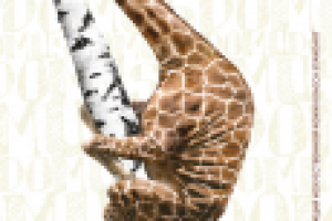 Работа 2544231