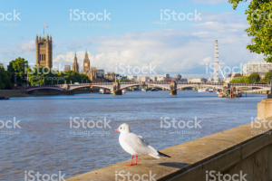 Работа 3427215