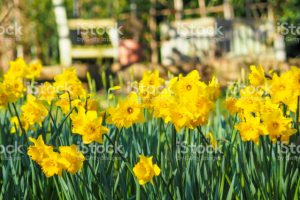 Работа 3427221