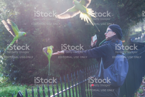 Работа 3427223