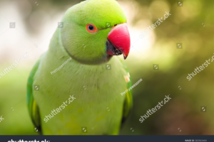 Работа 3427214