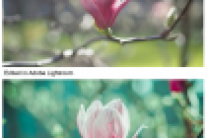 Работа 3099605