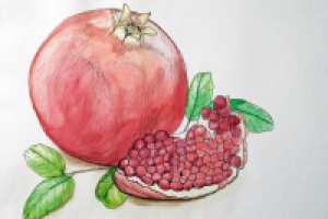 Работа 1194003