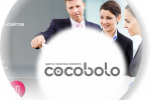 Фирменный стиль агентства COCOBOLO