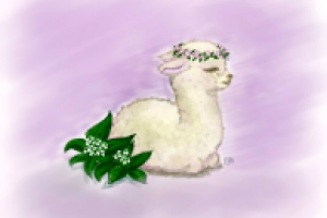 Лама, компьютерная графика