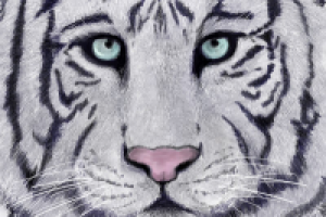 Белый тигр, компьютерная графика