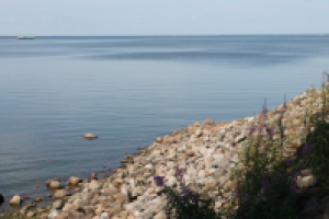 Финский залив