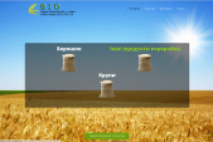 Корпоративный сайт компании "ВИО"