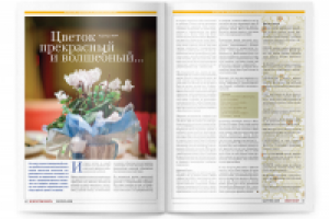 Внутренний разворот журнала «Искусство жить»