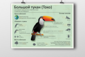 Информационный плакат