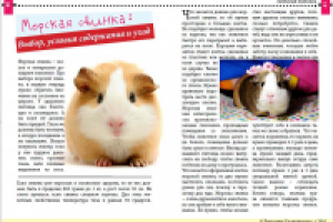 Разворот журнала