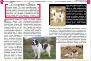 Пример газетного/журнального разворота