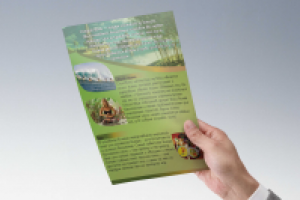 листовка  остов Бали