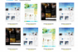 PROweb+(светлый2)