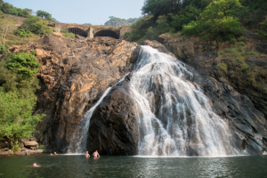 Работа 3405702