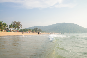 Работа 3405691