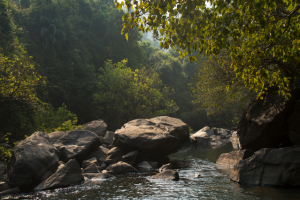 Работа 3405700